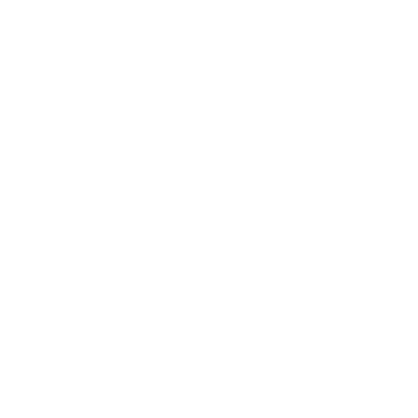 HEADS NOR TAILS logo